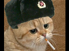 https://image.noelshack.com/fichiers/2022/37/7/1663537868-jvc2.png