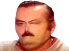 https://image.noelshack.com/fichiers/2022/38/2/1663680162-risitas-surveille.png