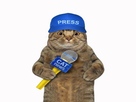 https://image.noelshack.com/fichiers/2022/38/3/1663774331-1663774108-1648430797-beige-cat-journalist-blue-cap-microphone-white-background-isolated-237572279.jpeg