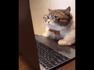 https://image.noelshack.com/fichiers/2022/38/7/1664115700-200.gif