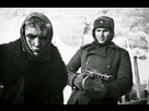 https://image.noelshack.com/fichiers/2022/38/7/1664129957-a-german-prisoner-of-war-escorted-by-a-soviet-soldier-stalingrad-1943.jpg