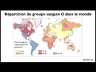 https://image.noelshack.com/fichiers/2022/39/1/1664202545-repartition-groupe-sanguin-o-dans-le-monde.png