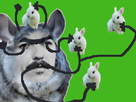 https://image.noelshack.com/fichiers/2022/39/6/1664650215-lapin-gentil-calin.png