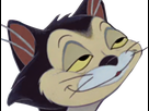 https://image.noelshack.com/fichiers/2022/40/1/1664753115-figaro1.png