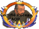 https://image.noelshack.com/fichiers/2022/40/1/1664786700-golemluxepuceau.png