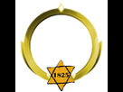https://image.noelshack.com/fichiers/2022/40/1/1664796857-badge1825.png