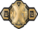 https://image.noelshack.com/fichiers/2022/40/2/1664873126-nxt-championship-b00-by-tiorollins07-de2lvlk-fullview.jpg