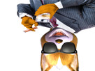 https://image.noelshack.com/fichiers/2022/40/2/1664902569-ahi.png