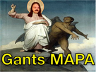 https://image.noelshack.com/fichiers/2022/40/3/1664982121-gants-mapa.png