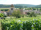 https://image.noelshack.com/fichiers/2022/40/5/1665169617-vignes-de-l-aisne-2.jpg