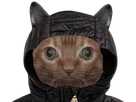 https://image.noelshack.com/fichiers/2022/40/6/1665255176-chat-simplet-capuche.png