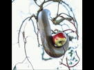 https://image.noelshack.com/minis/2022/40/7/1665352412-serpent-dent.png