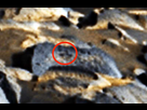 https://image.noelshack.com/fichiers/2022/41/5/1665699736-hiero-mars-1.jpg