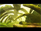 https://image.noelshack.com/fichiers/2022/41/7/1665910187-primal-forest2.png