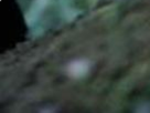 https://image.noelshack.com/fichiers/2022/41/7/1665931916-49-pqnumiuv.png