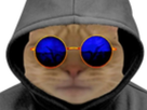 https://image.noelshack.com/fichiers/2022/42/2/1666121700-screenshot-20220822-164520-gallery.jpg
