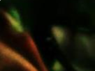 https://image.noelshack.com/fichiers/2022/42/2/1666121785-15-gk01t51l.png