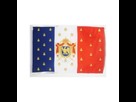 https://image.noelshack.com/fichiers/2022/42/4/1666247219-drapeau-napoleon-iii-second-empire-1852-1870.jpg
