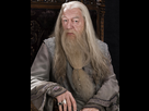 https://image.noelshack.com/fichiers/2022/42/6/1666467505-dumbledore.jpg