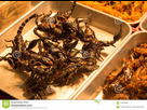 https://image.noelshack.com/fichiers/2022/42/7/1666531013-scorpions-et-insectes-frits-de-casse-croute-sur-un-marche-en-plein-air-bangkok-thailande-118583486.jpg