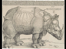 https://image.noelshack.com/fichiers/2022/42/7/1666531674-durer-s-rhinoceros-1515.jpg