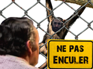 https://image.noelshack.com/fichiers/2022/43/2/1666697343-cash-dans-le-benzemard.png