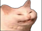 https://image.noelshack.com/fichiers/2022/43/4/1666876323-1496094165-issouchat.png