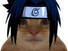 https://image.noelshack.com/fichiers/2022/43/4/1666891276-chatsasuke2.png