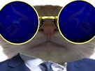https://image.noelshack.com/fichiers/2022/43/6/1667041783-1643127585-full-23.jpeg