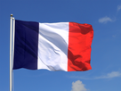 https://image.noelshack.com/fichiers/2022/43/7/1667163189-drapeau-frrr.jpg