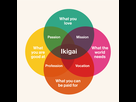 https://image.noelshack.com/fichiers/2022/44/1/1667171520-ikigai-japanese-secret-to-a-joyful-life-pic.png