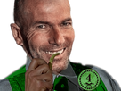 https://image.noelshack.com/fichiers/2022/44/2/1667340616-lee-van-zidane-sourire.png