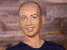https://www.noelshack.com/2022-44-3-1667377958-sophia-robot-humanoide-w1200.jpg