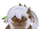 https://image.noelshack.com/fichiers/2022/44/4/1667503512-nahida-chat.png