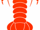 https://image.noelshack.com/fichiers/2022/44/4/1667512263-18-wnh6wwg1.png