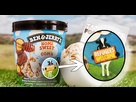 https://image.noelshack.com/fichiers/2022/45/3/1667994087-ben-jerry.jpg