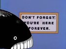 https://image.noelshack.com/fichiers/2022/45/7/1668361187-image.png