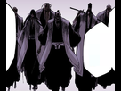 https://image.noelshack.com/fichiers/2022/46/3/1668607811-511original-gotei-13.png
