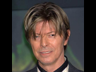 https://image.noelshack.com/fichiers/2022/46/4/1668688363-bowie.jpg