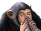 https://image.noelshack.com/minis/2022/46/5/1668762380-singefeet.png