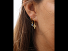 https://image.noelshack.com/fichiers/2022/46/7/1668980429-boucles-d-oreilles-gaia.jpg