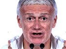 https://image.noelshack.com/fichiers/2022/47/3/1669209715-didier-removebg-preview.png