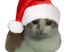 https://image.noelshack.com/minis/2022/47/4/1669301676-chatmale-noel.png