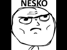https://image.noelshack.com/minis/2022/47/7/1669563369-nesko.png