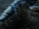 https://image.noelshack.com/fichiers/2022/47/7/1669579273-8-dftswtaf.png