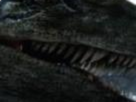 https://image.noelshack.com/fichiers/2022/47/7/1669579273-9-dftswtaf.png