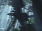 https://image.noelshack.com/fichiers/2022/47/7/1669579274-12-dftswtaf.png