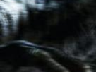 https://image.noelshack.com/fichiers/2022/47/7/1669579274-13-dftswtaf.png
