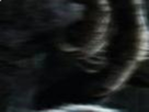 https://image.noelshack.com/fichiers/2022/47/7/1669579274-19-dftswtaf.png