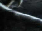 https://image.noelshack.com/fichiers/2022/47/7/1669579305-26-dftswtaf.png